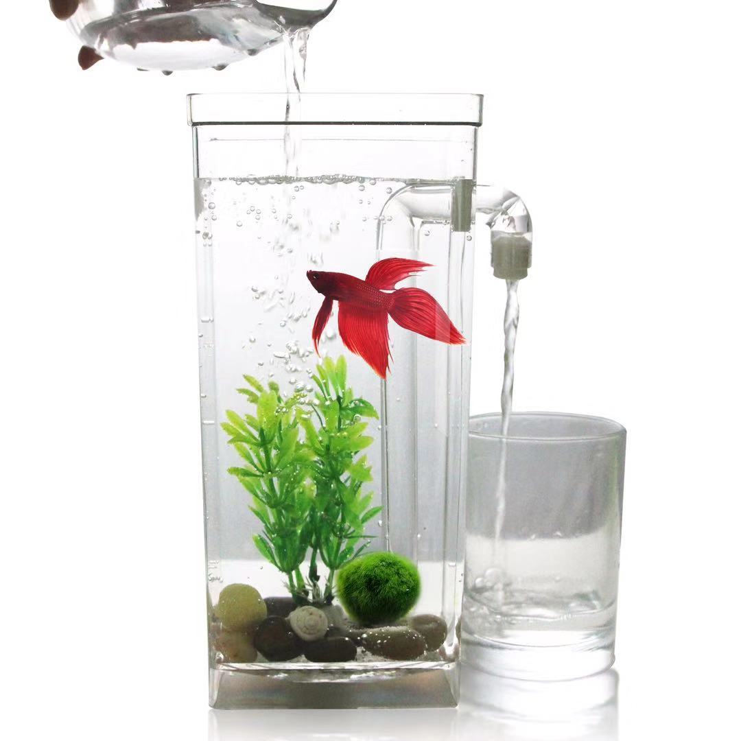 Aquarium Fish Betta - Aksesori Akuarium Kotak Ikan Betta Plastik