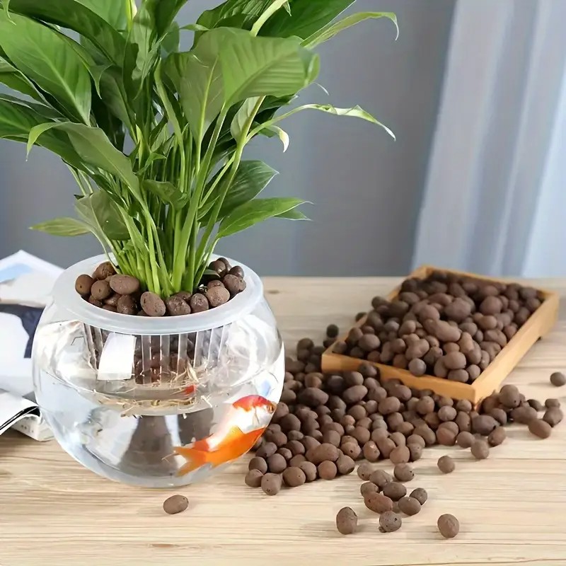 Pelet Terakota Ringan & Bernap - Aquarium Plants ulasan dan harga