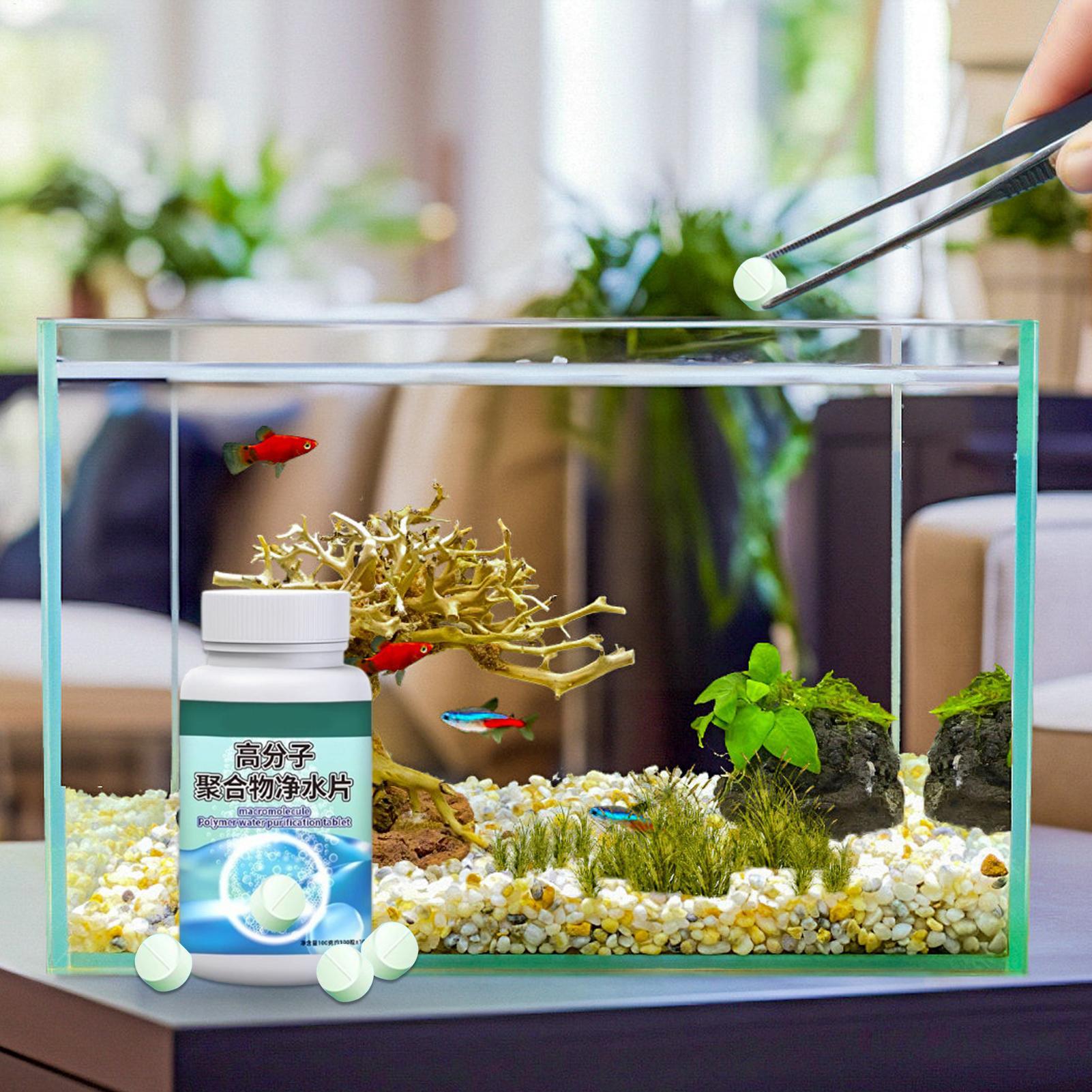 Tablet Pembersih Air Akuarium  - Betta Fish Tank ulasan dan harga