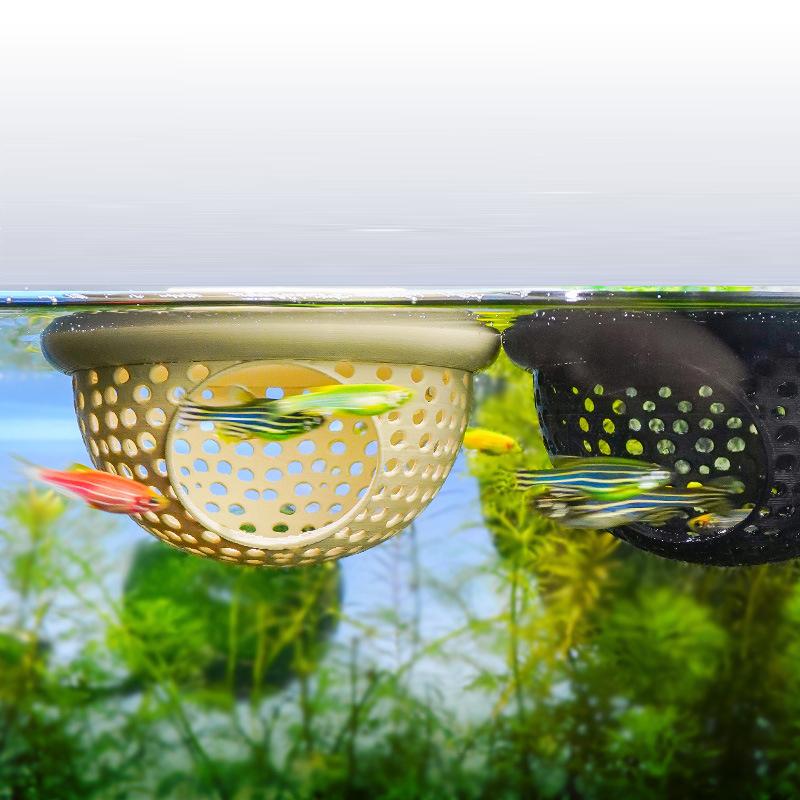 1 Buah Hammock Ikan Betta, Tem - Betta Fish Tank ulasan dan harga