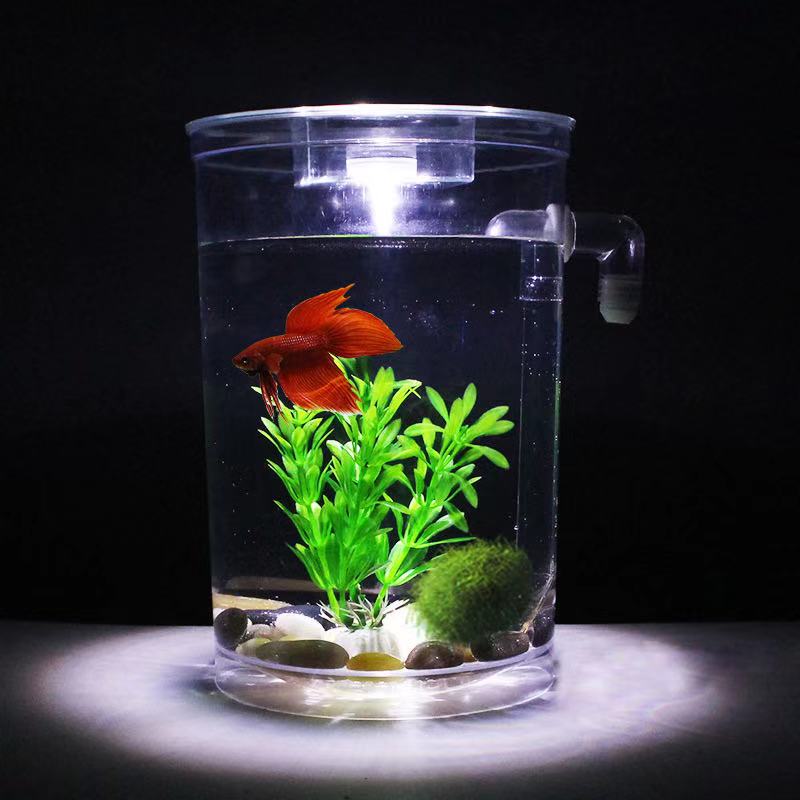 Aksesori Akuarium Kotak Ikan B - Aquarium Fish Betta ulasan dan harga