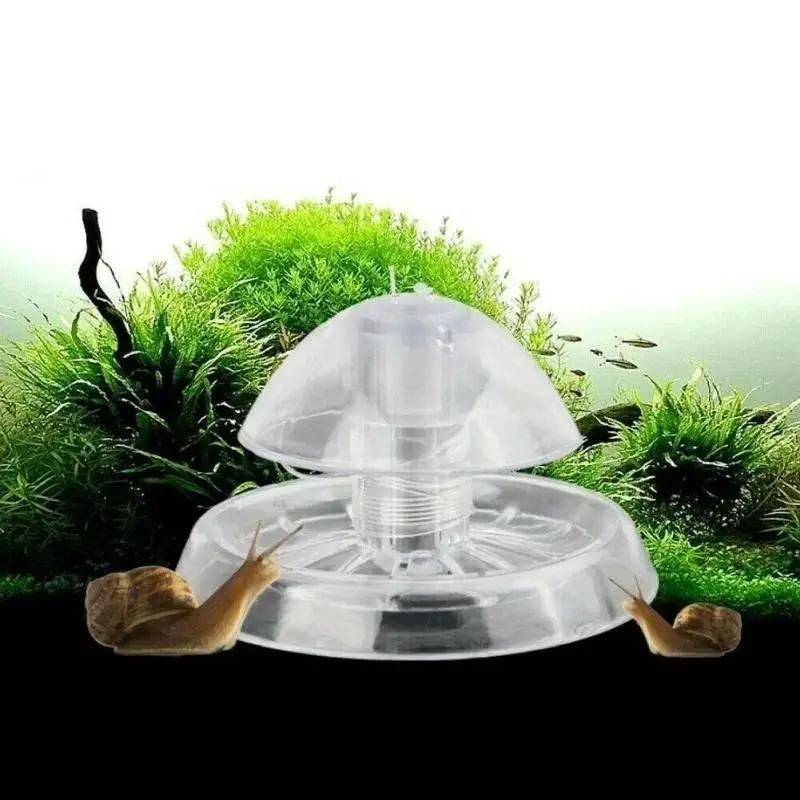 2026 Perangkap Siput Plastik T - Fish Aquarium Home ulasan dan harga