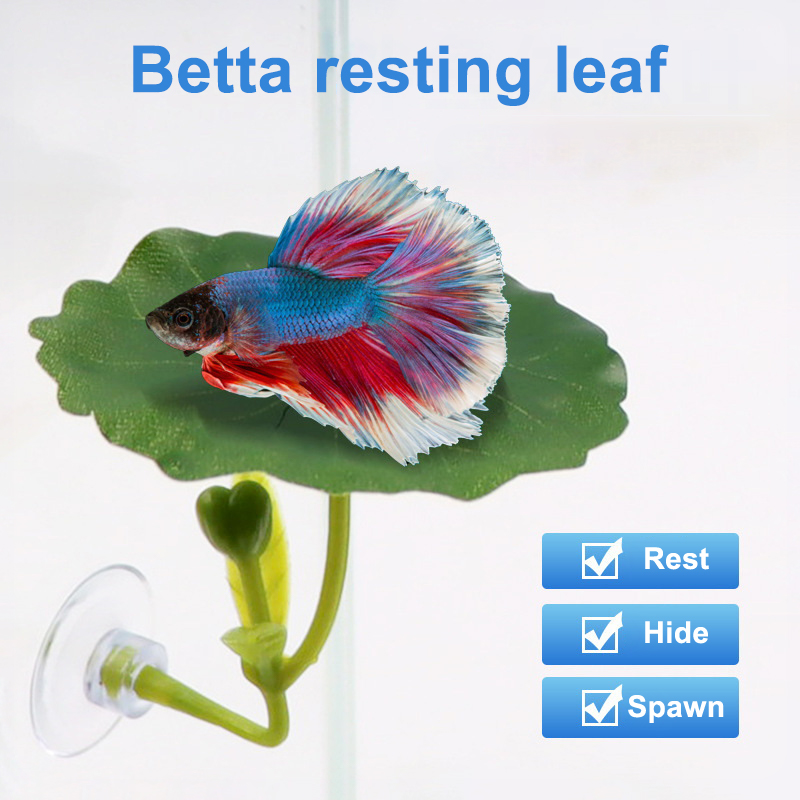1 buah tempat tidur berbentuk  - Betta Fish Tank ulasan dan harga
