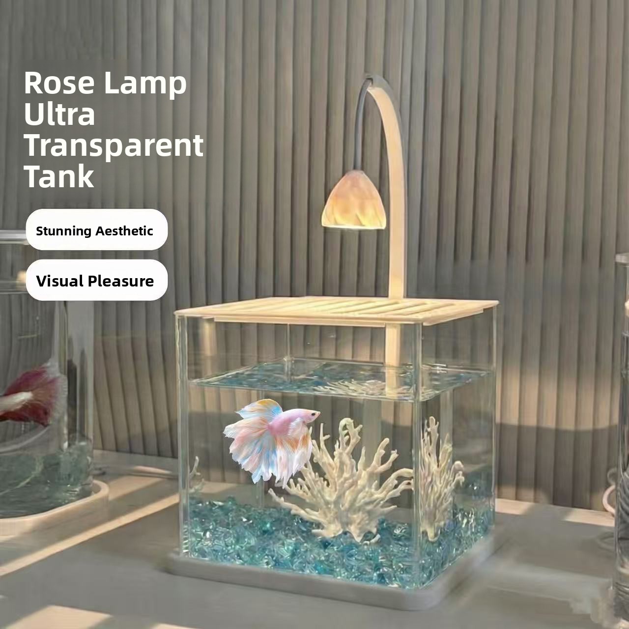 Akuarium Akrilik dengan Hiasan - Betta Fish Tank ulasan dan harga