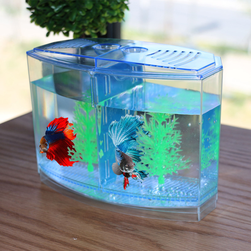 Novel dan lucu mainan kreatif  - Aquarium Fish Keeping ulasan dan harga