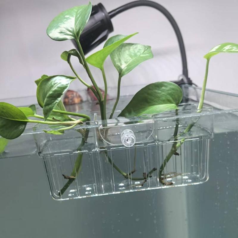 Keranjang Tanaman Hidroponik,  - Aquarium Plants ulasan dan harga
