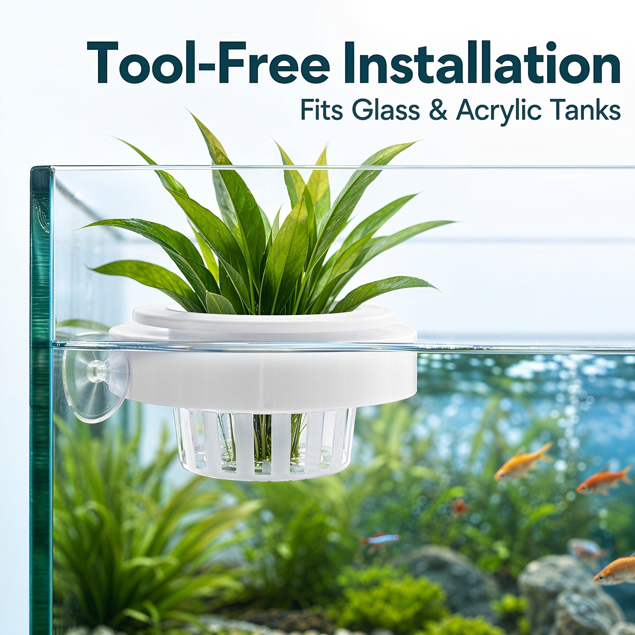 4 buah Keranjang Tanaman Akuar - Aquarium Plants ulasan dan harga