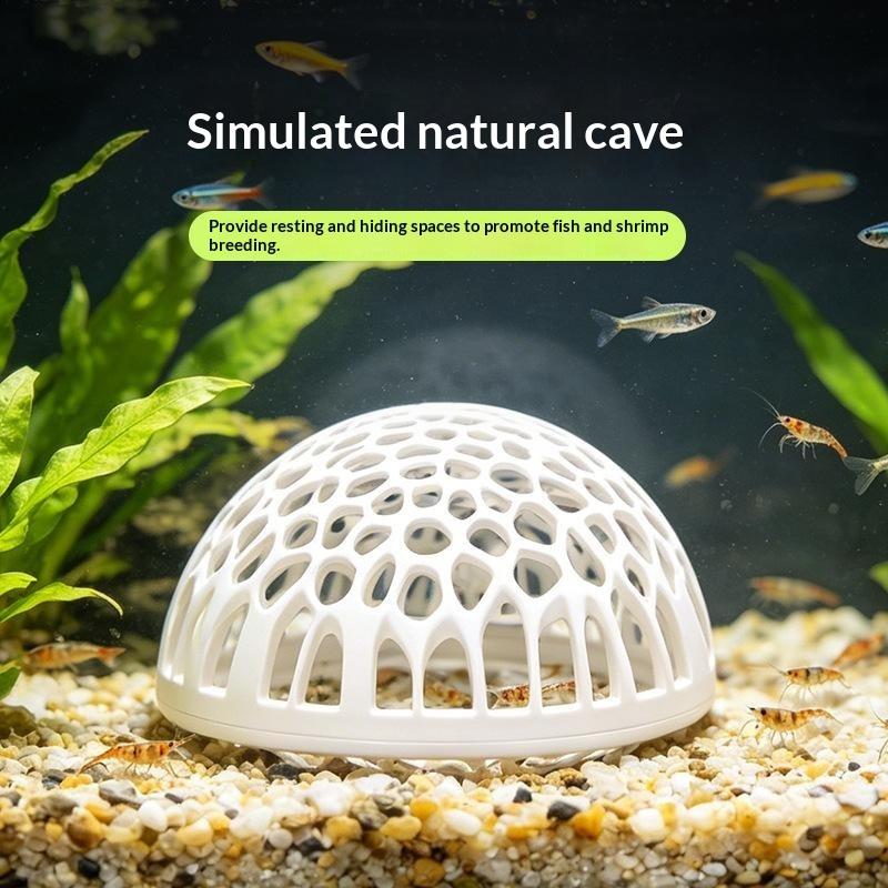 Rumah Udang Akuarium Baru, Ben - Betta Fish Tank ulasan dan harga